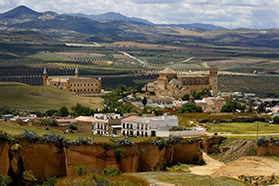 Panorámica Osuna